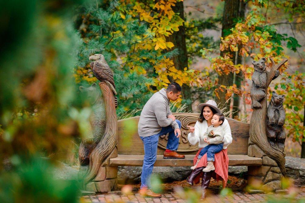 recomment-pack-image-0