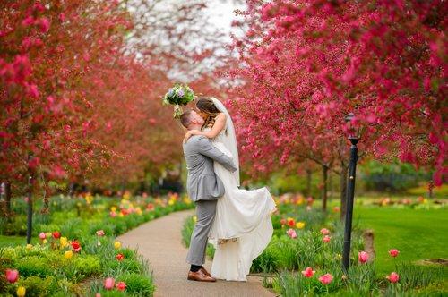 carousel-hero-element image-0