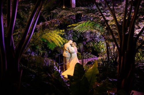 carousel-hero-element image-1