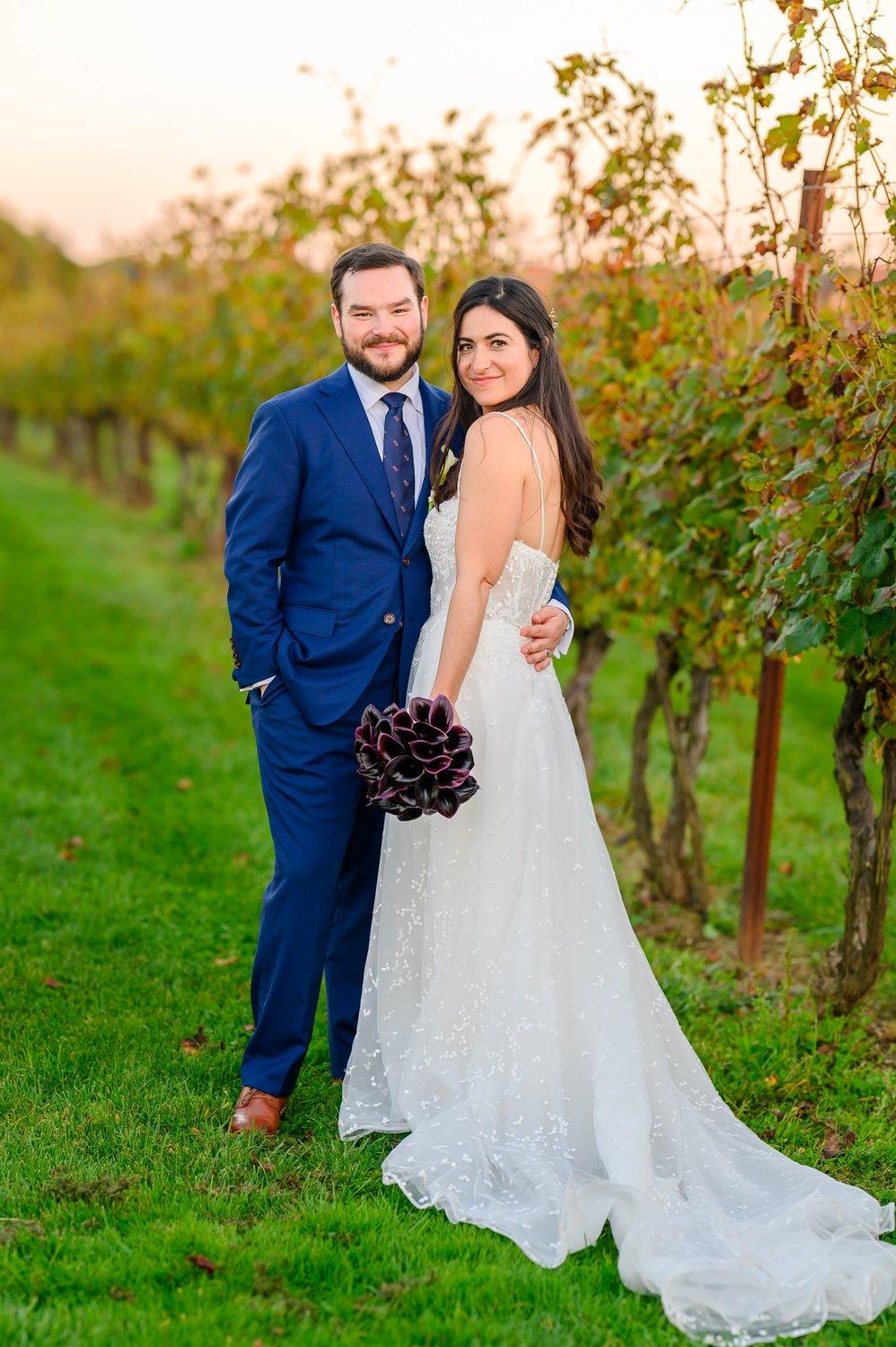 carousel-hero-element image-1